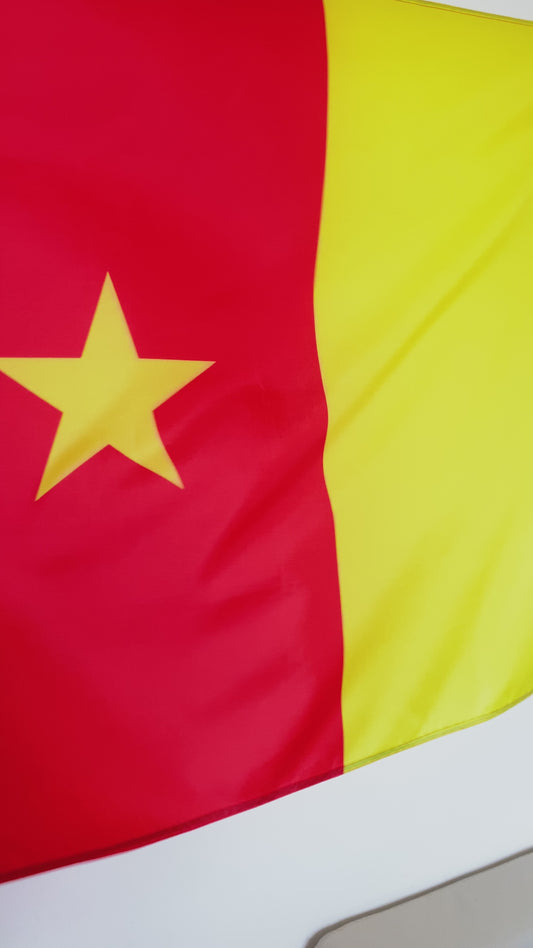Drapeau du Cameroun