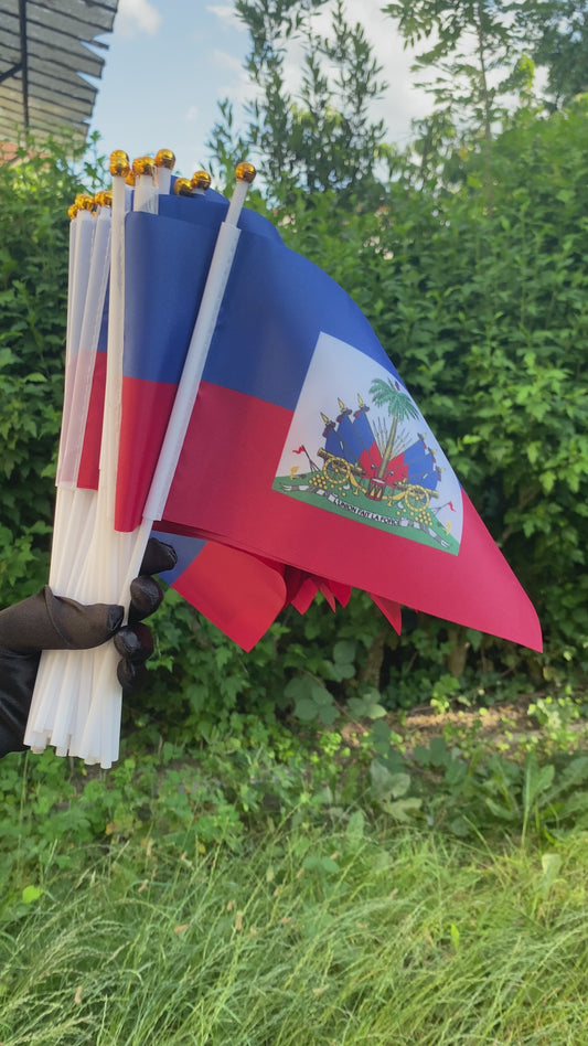 Mini drapeau Haiti